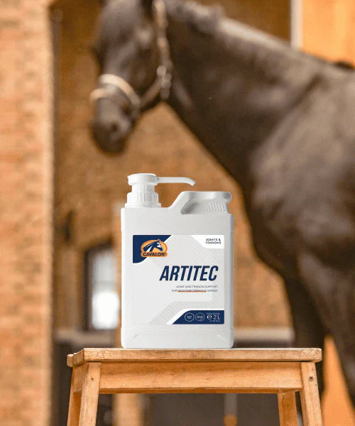 Cuidado profesional para tu caballo: salud que se nota