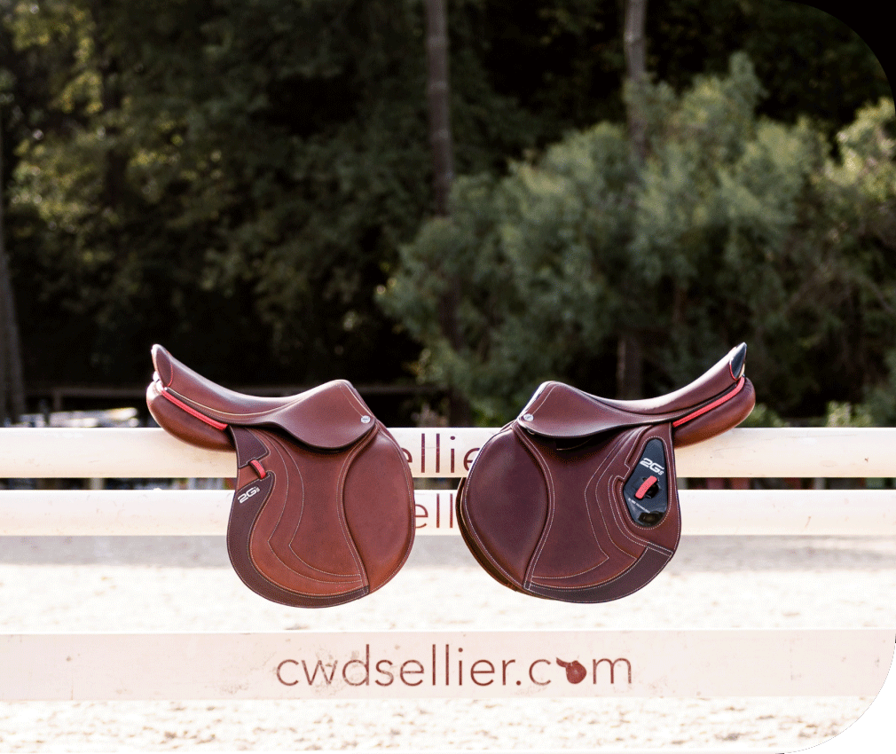 Eleva tu desempeño en la pista con equipo premium disponible en Cabastic