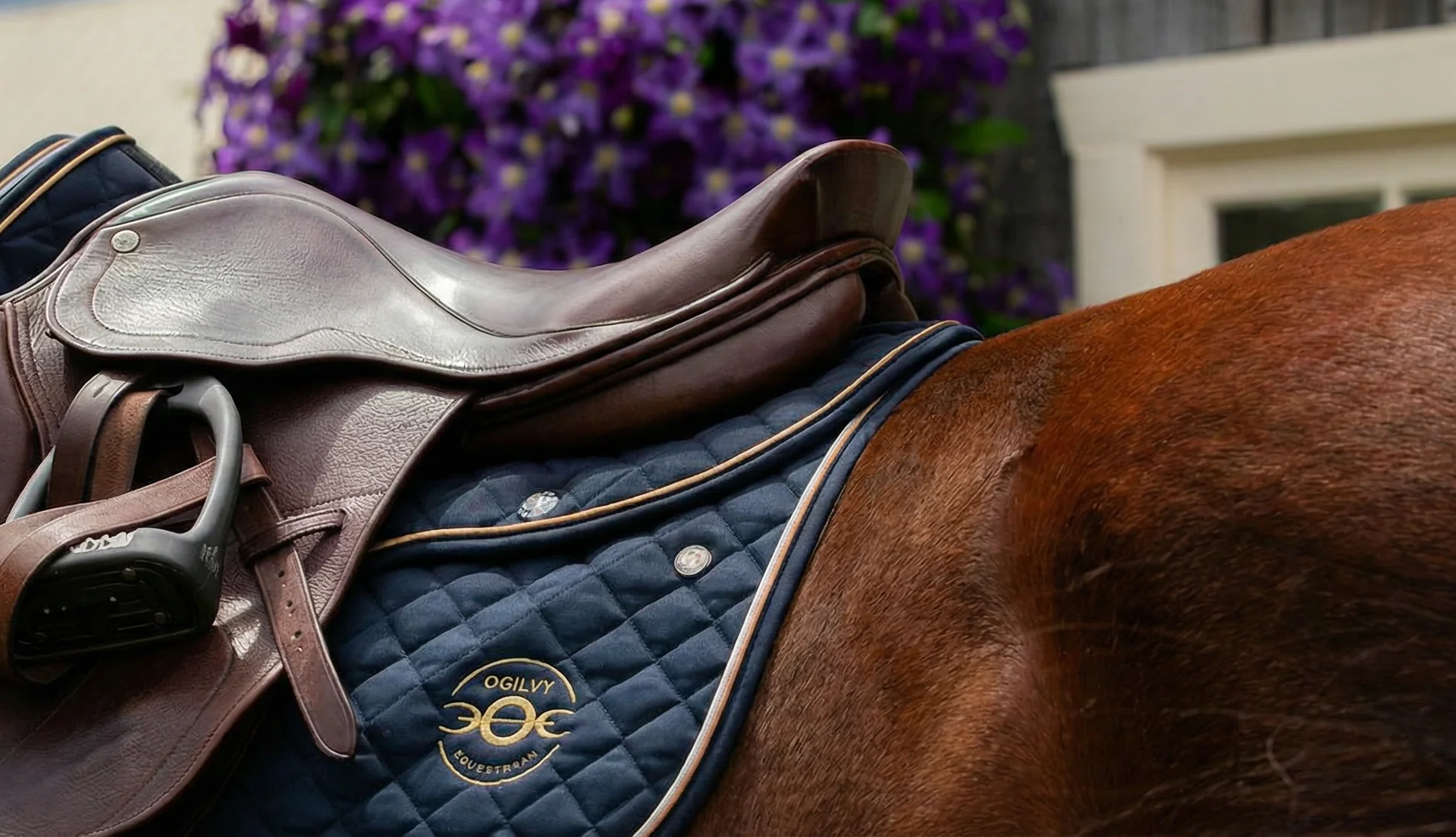 Ogilvy Equestrian